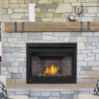 Napoleon Ascent X BX42NTRE Zero Clearance Gas Fireplace