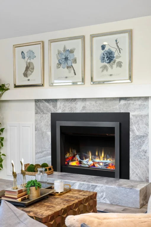 Valor GE4 Electric, Fireplace Insert