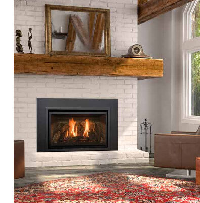 Kozy Heat Chaska 29MV, Gas, Fireplace Insert