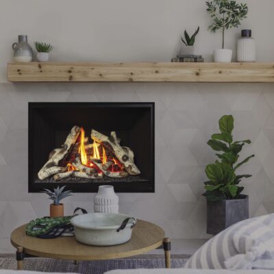 Valor H5, Gas, Zero Clearance Fireplace