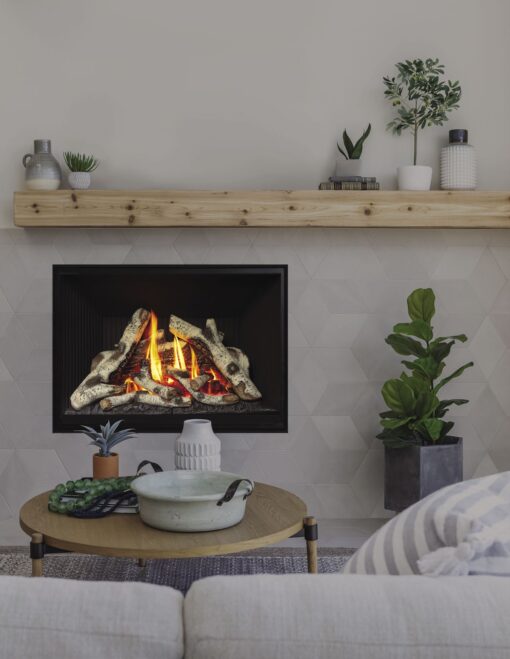 Valor H5, Gas, Zero Clearance Fireplace